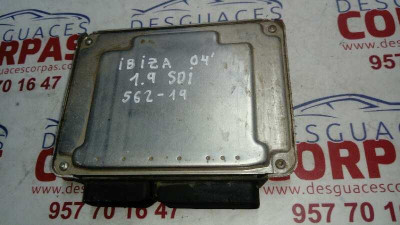 CENTRALITA MOTOR UCE, SEAT, IBIZA (6L1)