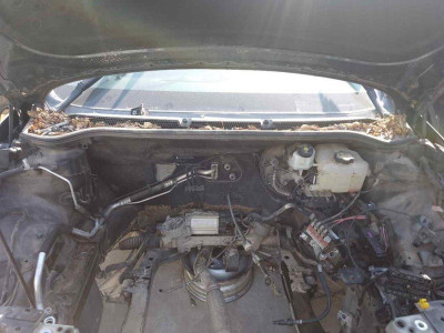 MOTOR LIMPIA DELANTERO