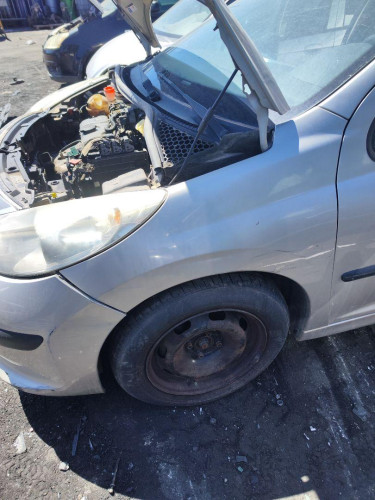 ALETA DELANTERA IZQUIERDA Peugeot 207 