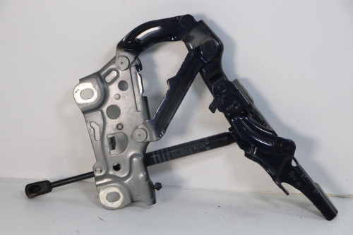  BISAGRA CAPO DERECHA, BMW, SERIE 7 (E65/E66) 