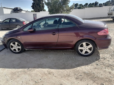PEUGEOT 307 CC CABRIO-COUPÉ (S1)(10.2003)