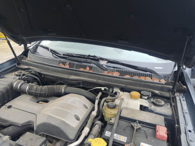 TORPEDO, CHEVROLET, CAPTIVA