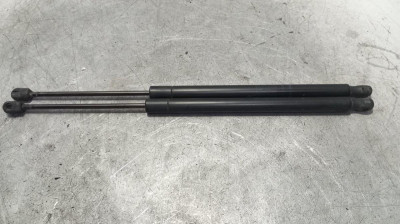 AMORTIGUADORES MALETERO / PORTON