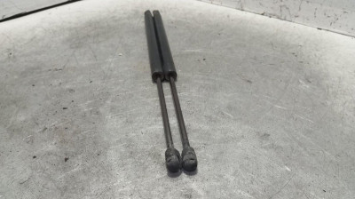 AMORTIGUADORES MALETERO / PORTON