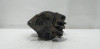  ALTERNADOR, , 
