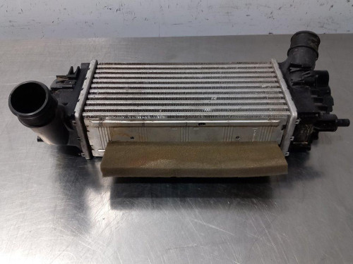  INTERCOOLER, FORD, PUMA 