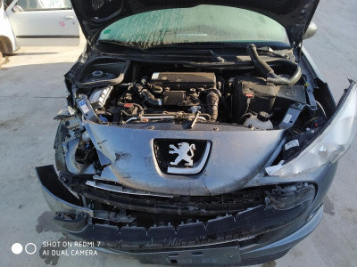 PEUGEOT 206 +