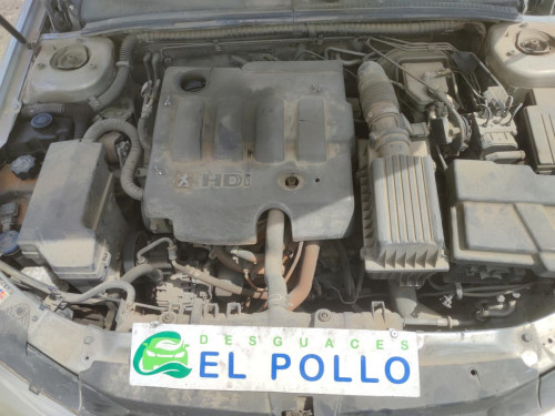  PEUGEOT 406 BERLINA (S1/S2) 