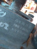 CAJA CAMBIOS 