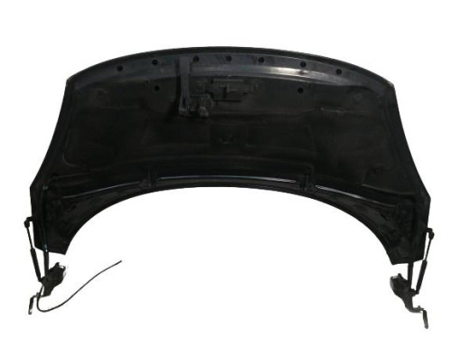  CAPO RENAULT SCENIC III (JZ) 