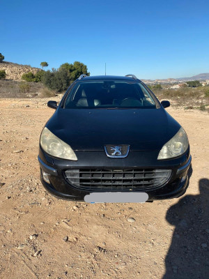 PEUGEOT 407 SW