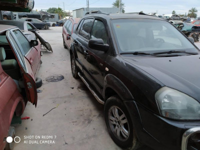 HYUNDAI TUCSON (JM)