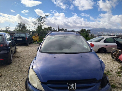 PEUGEOT 307 BREAK / SW (S1)(04.2002)