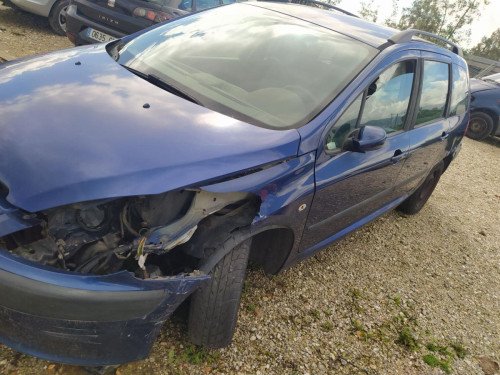  PEUGEOT 307 BREAK / SW (S1)(04.2002) 