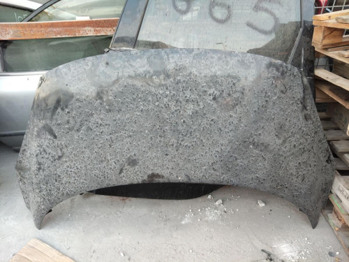CAPO RENAULT SCENIC III (JZ) 