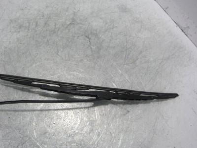 ESCOBILLA LIMPIA