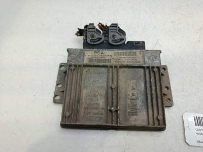 CENTRALITA MOTOR UCE, Peugeot, 206