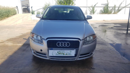  Audi A4 Berlina (8E)(2004->) SIN IDENTIFICAR 