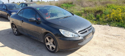 PEUGEOT 307 CC CABRIO-COUPÉ (S1)(10.2003)