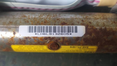AIRBAG CORTINA DELANTERO IZQUIERDO Lexus RX (GGL1/GYL1) 