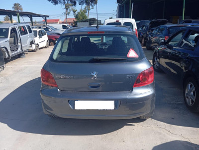 PEUGEOT 307 BERLINA (S2)