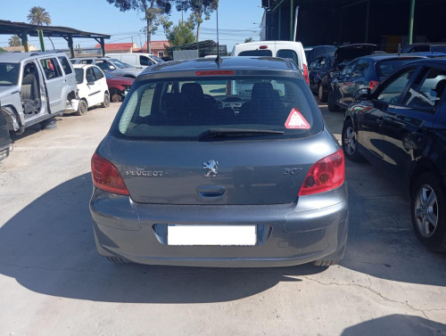  PEUGEOT 307 BERLINA (S2) 