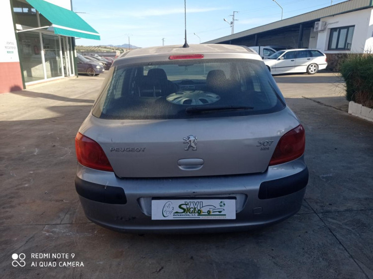 Peugeot 307 (S1)(04.2001->06.2005) SIN IDENTIFICAR