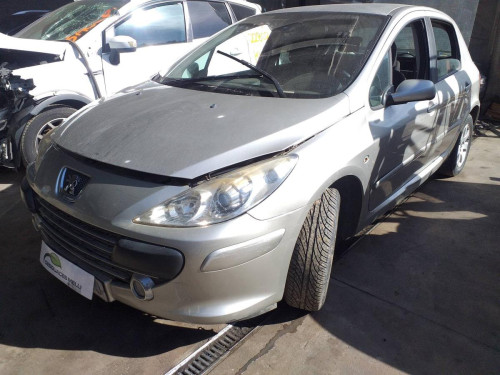  PEUGEOT 307 BERLINA (S2) 