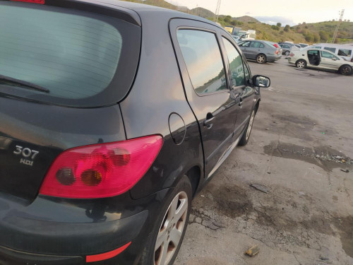  AFORADOR PEUGEOT 307 (S1)(04.2001) 