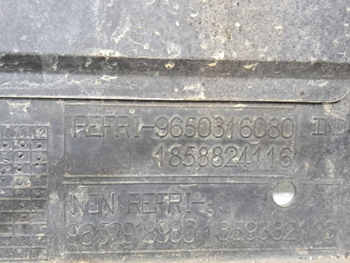  PANEL FRONTAL Citroen C4 BERLINA 