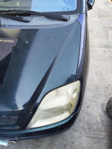 CAPO Renault SCENIC I (JA...) 
