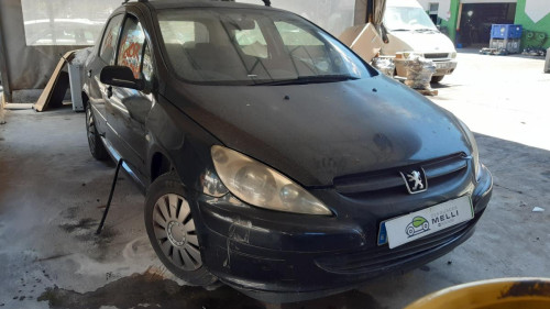 PEUGEOT 307 (S1)(04.2001) 