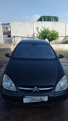 CAPO Citroen C5 Break (2001->)