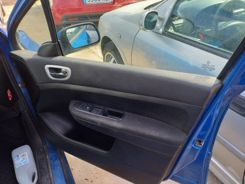 PEUGEOT 307 BERLINA (S2) 