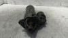 MOTOR ARRANQUE Audi A4 AVANT (8E) 
