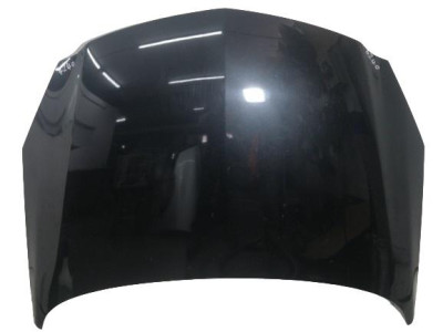 CAPO, OPEL, INSIGNIA SPORTS TOURER
