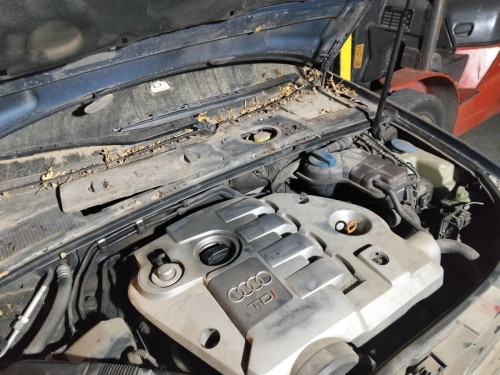 CENTRALITA MOTOR UCE Audi A4 BERLINA (8E) 