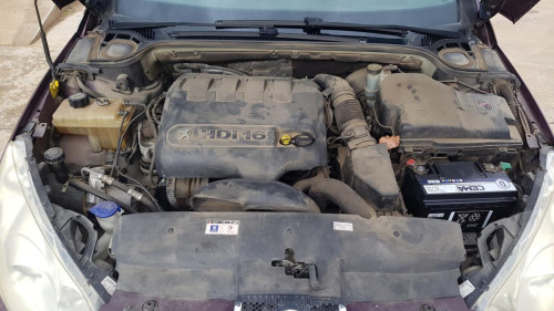  Peugeot 407 (2004->) SIN IDENTIFICAR 