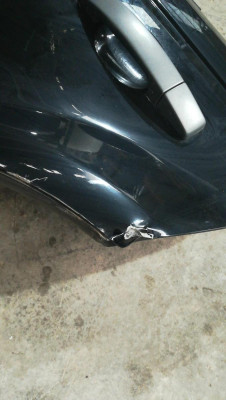 PUERTA TRASERA IZQUIERDA, LAND ROVER, RANGE ROVER (LM)