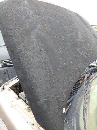 CAPO de segunda mano