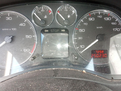  PEUGEOT 307 BREAK/ SW (S2) 