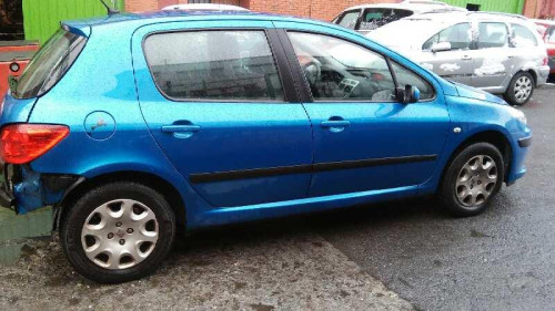  PEUGEOT 307 BERLINA (S2) 