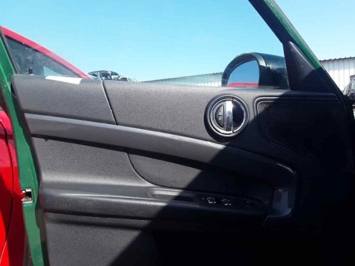 GUARNECIDO PUERTA DELANTERA IZQUIERDA BMW MINI COUNTRYMAN (R60) 