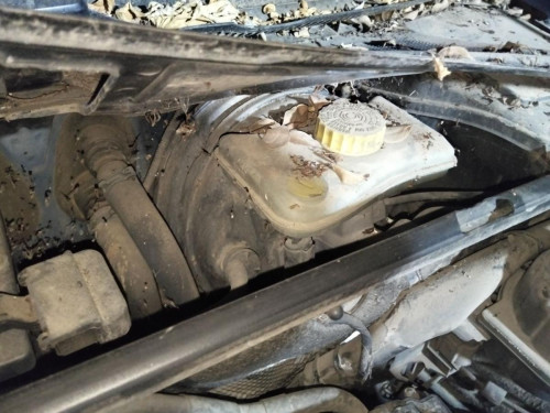 BOMBA FRENO AUDI A4 BERLINA (8E) 
