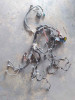 NO IDENTIFICADO RENAULT CLIO IV 