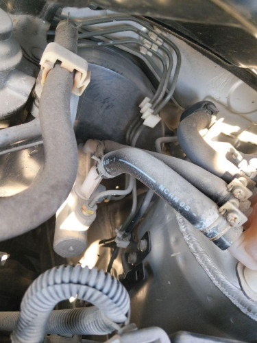 SERVOFRENO Nissan ALMERA TINO (V10M) 