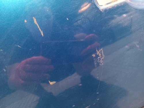  PUERTA TRASERA IZQUIERDA, PEUGEOT, 207 