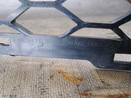 REJILLA PARAGOLPES DELANTERO HYUNDAI SANTA FE (CM) 