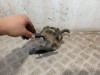 DEPRESOR FRENO / BOMBA VACIO 