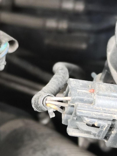 SERVOFRENO, FORD, FOCUS CABRIO (CA5)